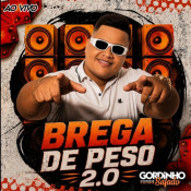 GORDINHO SAFADO - BREGA DE PESO 2.0