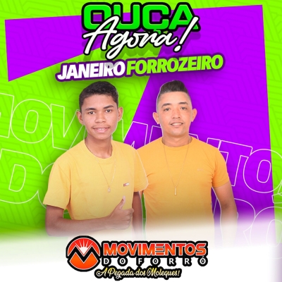 MOVIMENTOS DO FORRÓ