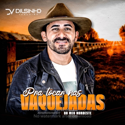 DILSINHO VAQUEIRO